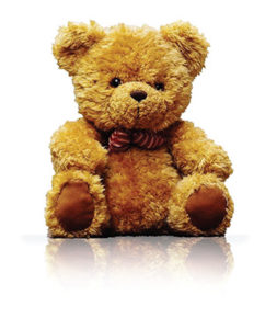 Donate a Teddy Bear